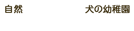 自然がいっぱいの犬の幼稚園。のびのびと学べます♪