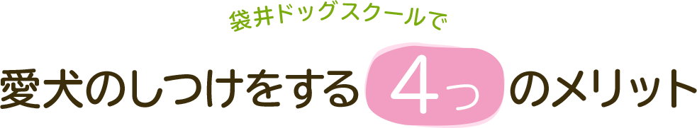 愛犬のしつけをする4つのメリット